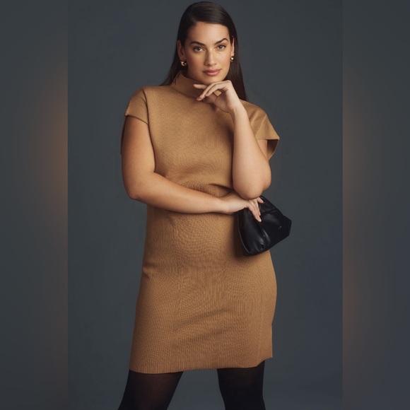 Anthropologie Dresses & Skirts - ✨ Anthropologie Mock-Neck Mini Dress Sz XL